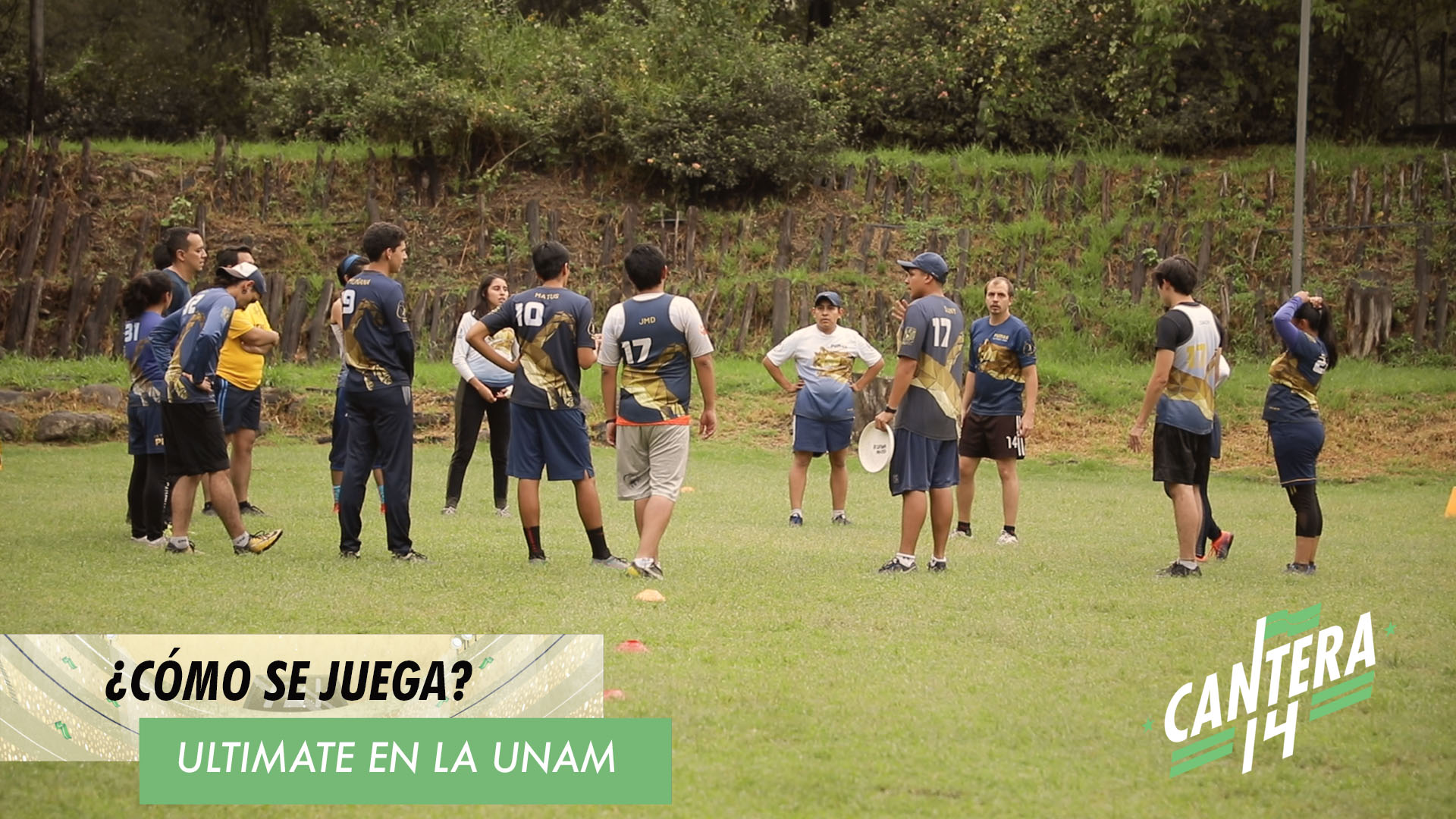 video